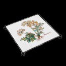 Villeroy & Boch Botanica Coaster 16 cm with Metal Frame