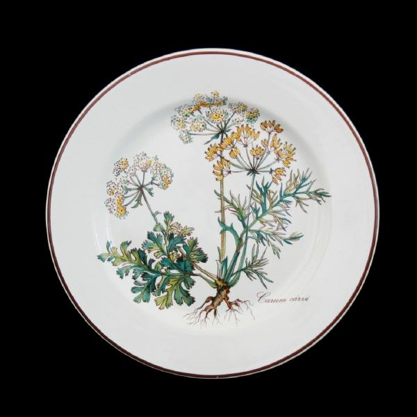 Villeroy & Boch Botanica Bread & Butter Plate with Root