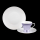 Rosenthal Form 2000 Lilac Mother of Pearl (Purple) (Form 2000 Flieder Perlmutt) Coffee Set 3 Pcs.