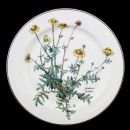 Villeroy & Boch Botanica Dinner Plate 24 cm 2nd Choice