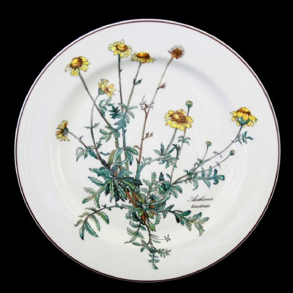 Villeroy & Boch Botanica Dinner Plate 24 cm without Root 2nd Choice