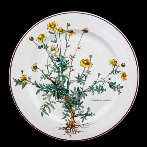 Villeroy & Boch Botanica Dinner Plate 24 cm with Root (Motif 2)