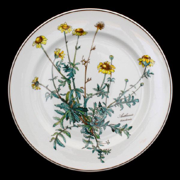 Villeroy & Boch Botanica Dinner Plate 27 cm without Root 2nd Choice