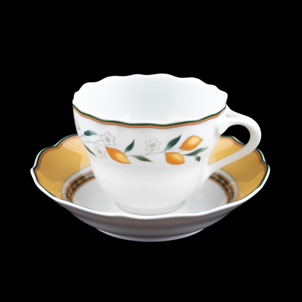 Hutschenreuther Medley Alfabia Coffee Cup & Saucer with Inner Circle In Excellent Condition