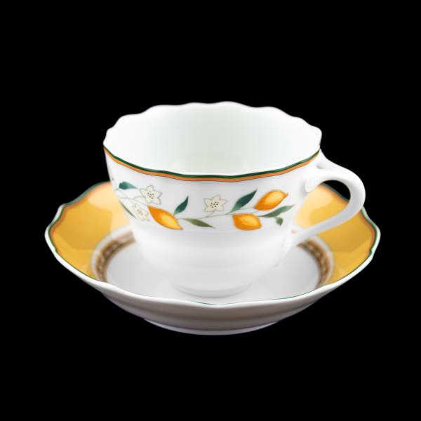 Hutschenreuther Medley Alfabia Coffee Cup & Saucer without Inner Circle In Excellent Condition