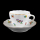 Hutschenreuther Mirabell Coffee Cup & Saucer without Inner Circle