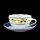 Hutschenreuther Medley Tea Cup & Saucer