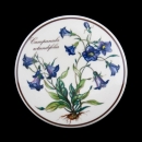 Villeroy & Boch Botanica Lid Jar 10 cm