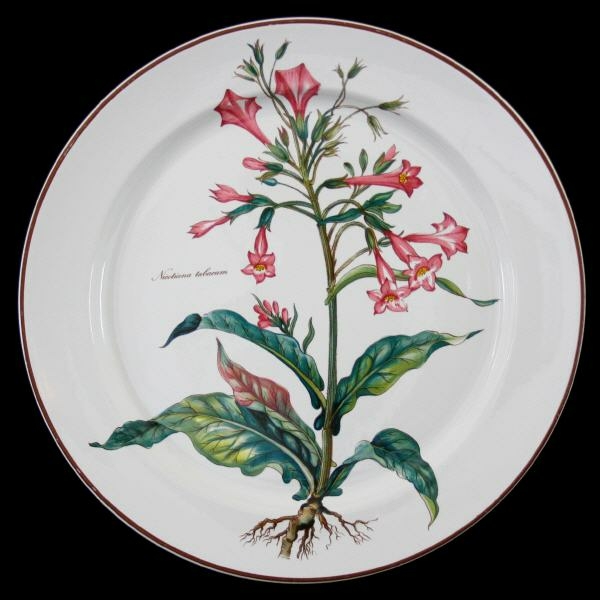 Villeroy & Boch Botanica Service Plate / Serving Platter 31 cm