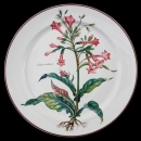 Villeroy & Boch Botanica Service Plate / Serving...