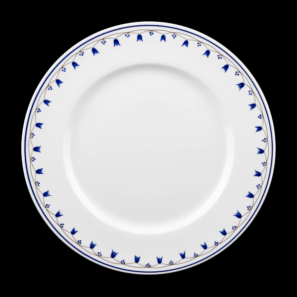 Villeroy & Boch Salzburg Dinner Plate 24.5 cm