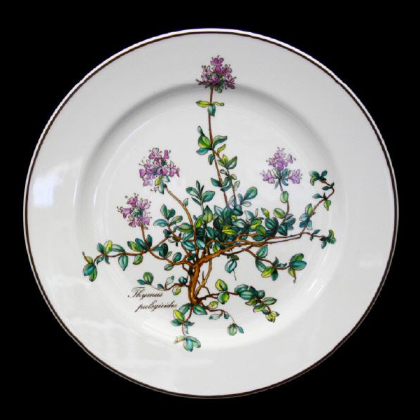 Villeroy & Boch Botanica Salad Plate without Root In Excellent Condition