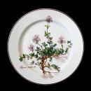 Villeroy & Boch Botanica Salad Plate with Root 2nd...