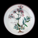 Villeroy & Boch Botanica Rim Soup Bowl with Root In...