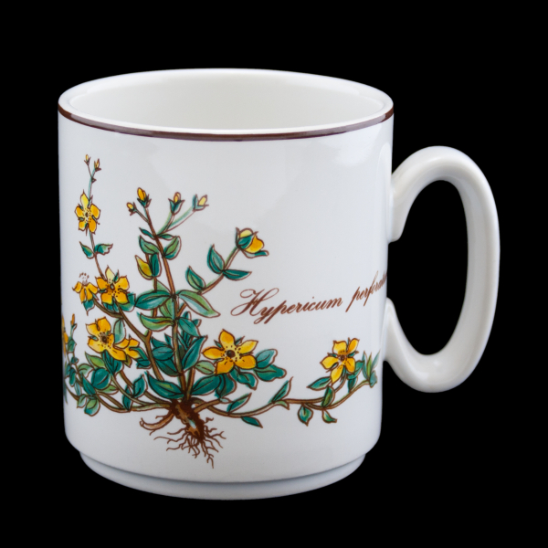 Villeroy & Boch Botanica Mug Yellow