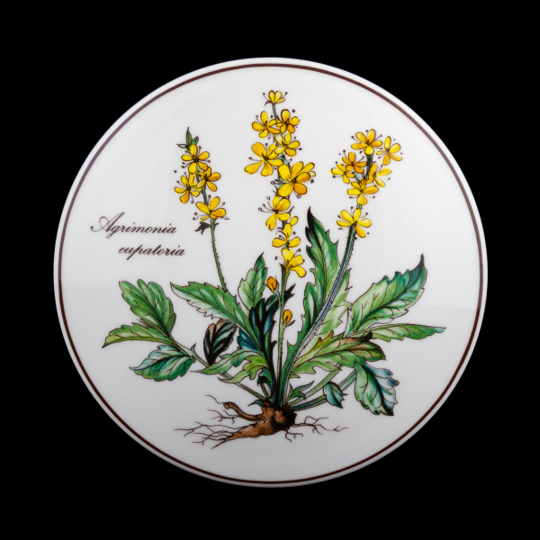 Villeroy & Boch Botanica Lid Jar 12 cm